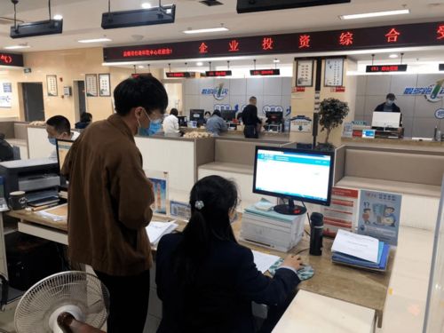 帮办代办全力办，贴心服务暖民心——水利相关咨询服务的新篇章